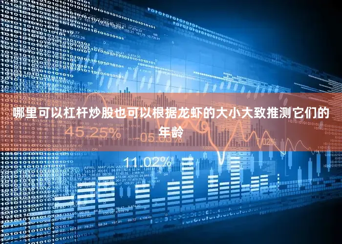 哪里可以杠杆炒股也可以根据龙虾的大小大致推测它们的年龄
