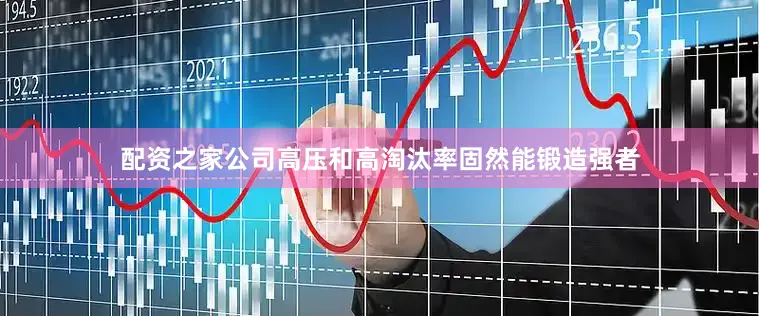 配资之家公司高压和高淘汰率固然能锻造强者