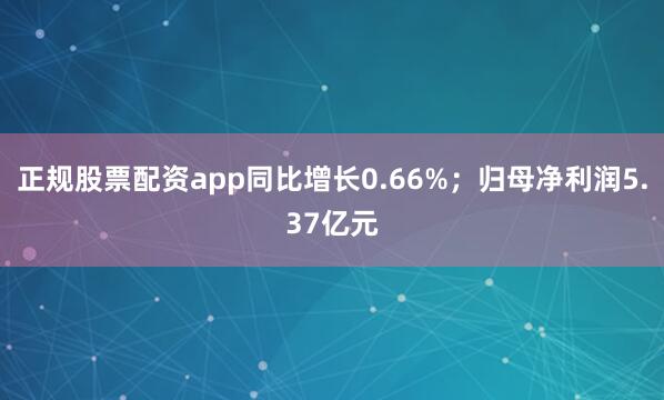 正规股票配资app同比增长0.66%；归母净利润5.37亿元